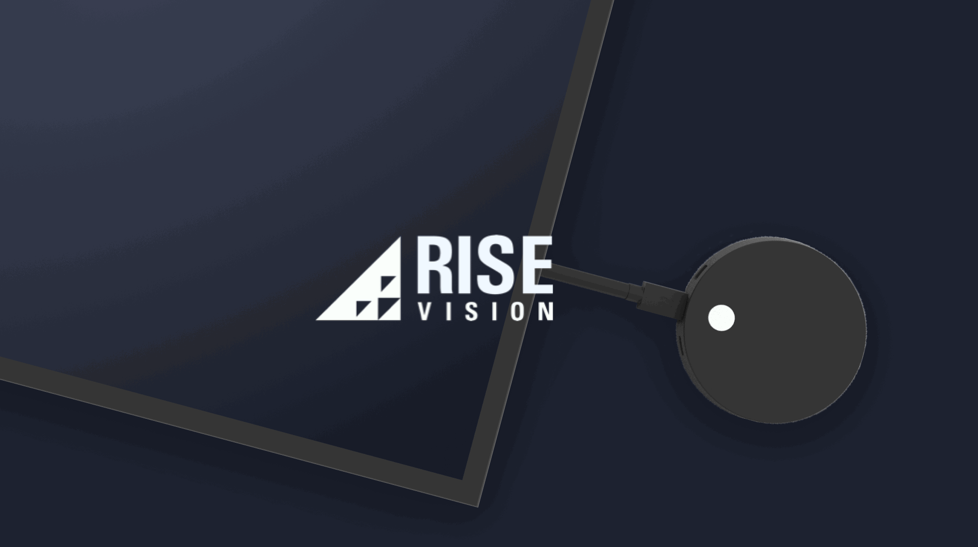 rise vision crypto