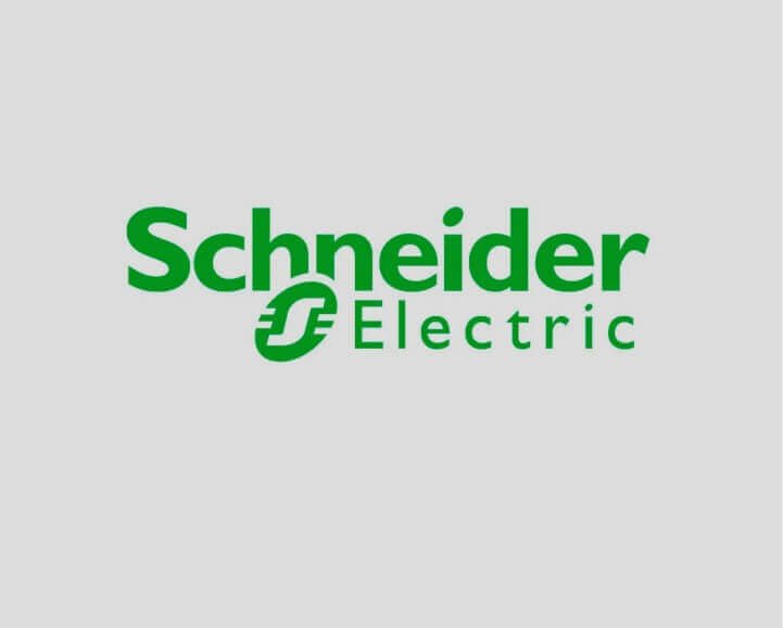 Schneider Electric: Case study
